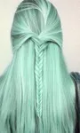 Mint Mint