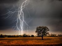 Stormy Stormy