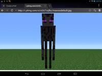 enderman enderman