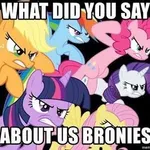 Bronies (My Little Pony: Friendship is Magic fandom) Bronies (My Little Pony: Friendship is Magic fandom)