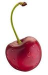 Cherry Cherry