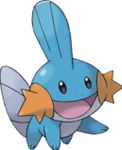Mudkip Mudkip