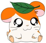 Hampster! ^.^ Hampster! ^.^