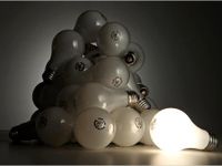Bulbs Bulbs