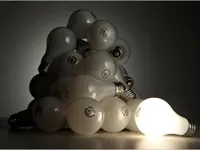 Bulbs Bulbs