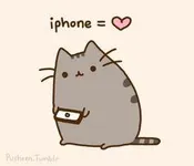 @Kawaii_Cat @Kawaii_Cat