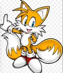 Tails the Fox Tails the Fox