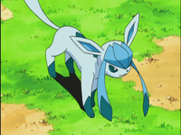 Glaceon Glaceon