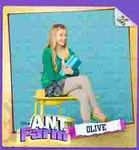 olive olive