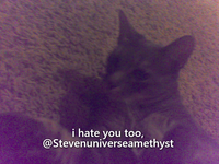 No, but I do still hate you, and always will No, but I do still hate you, and always will