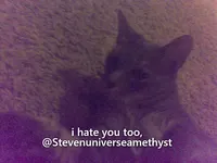 No, but I do still hate you, and always will No, but I do still hate you, and always will