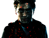 Harry Potter Harry Potter