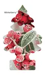 Winterberry Winterberry
