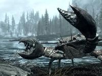 mudcrab mudcrab