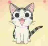 meow