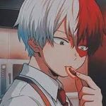 todoroki todoroki