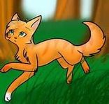 squirrelflight squirrelflight