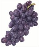Grapes Grapes