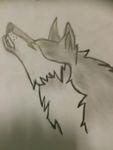 Wolf Wolf