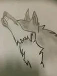 Wolf Wolf
