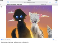 Feathertail x crowfeather Feathertail x crowfeather