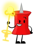 Pin
