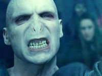 Voldermort Voldermort