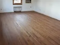 4+ 4+