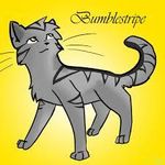 Bumblestripe Bumblestripe