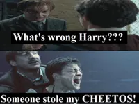 Potterheads!