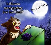 Warrior Cats Warrior Cats