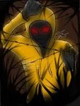 hoody hoody