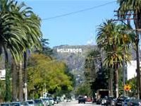 Hollywood Hollywood