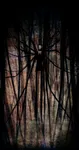 SLENDERMAN SLENDERMAN