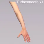 Or Eat A Human Arm Or Eat A Human Arm