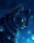 Le cat Le cat