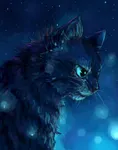 Le cat Le cat