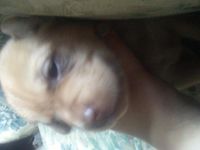CUTW