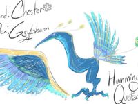 Hummingbird Quetzalcoatlus Hummingbird Quetzalcoatlus