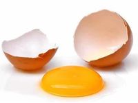Egg (I don't know why I added this. I know eggs aren't fruit so don't think I'm dumb because I'm very smart.) Egg (I don't know why I added this. I know eggs aren't fruit so don't think I'm dumb because I'm very smart.)