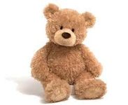 Teddy Bear Teddy Bear