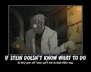 Franken Stein "Dr. Stein" Franken Stein "Dr. Stein"