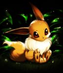 Eevee Eevee