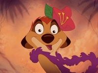 Timon