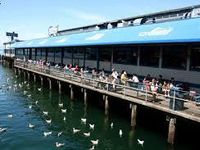 Ivar's Ivar's