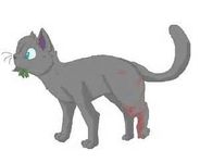 When Cinderpelt gets hit by a "monster"