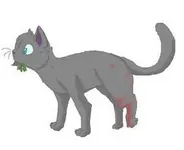 When Cinderpelt gets hit by a "monster" When Cinderpelt gets hit by a "monster"
