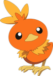 Torchic Torchic