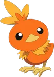 Torchic Torchic
