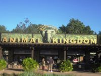 Animal kingdom Animal kingdom